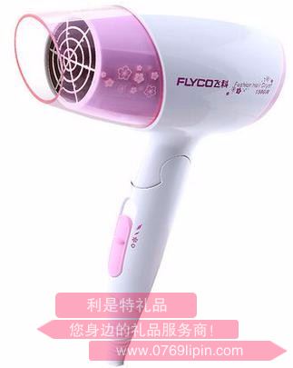 飛科吹風筒 FH6623