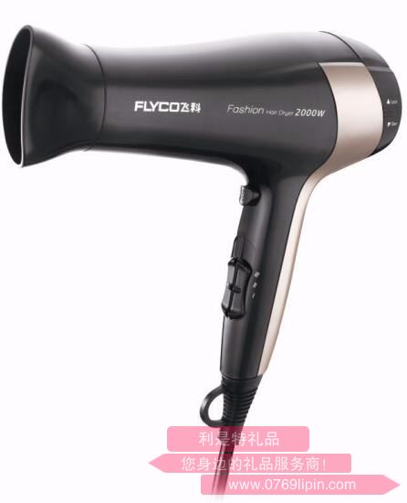 FLYCO/飛科FH6231 電吹風(fēng)機(jī)家用吹風(fēng)筒大功率2000W