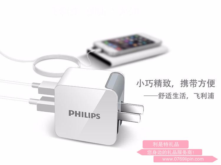 飛利浦 超快插壁式充電器 DLP3018