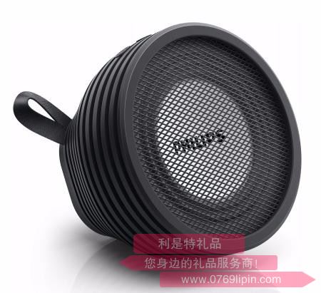 飛利浦 無(wú)線便攜式音箱 SB2000