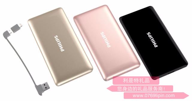 飛利浦移動(dòng)電源 DLP6101 2種充電接口