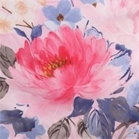 “妖嬈”長(zhǎng)絨棉活套蠶絲被  PG-B2011
