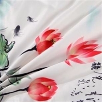 “異彩”中國(guó)風(fēng)抱枕被 PG-X5002
