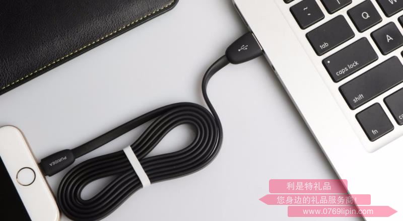 鵝卵石高彈數(shù)據(jù)線 L05