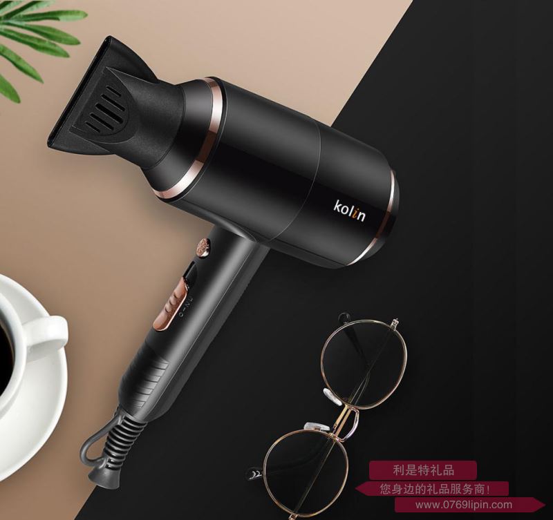 金姿高級家用電吹風L-GL9186X