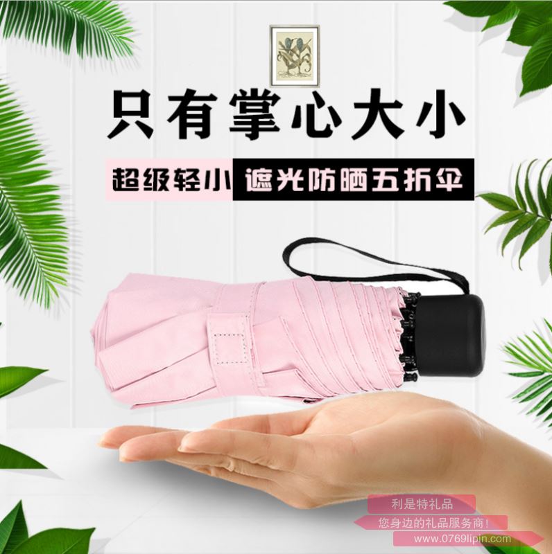 豪布斯五折傘