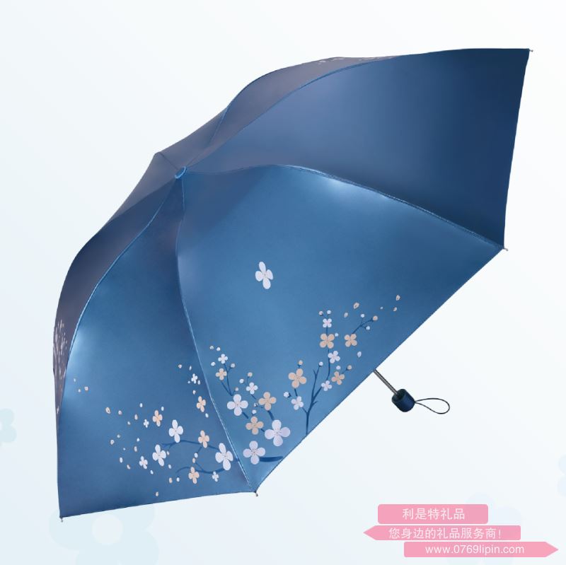 天堂傘 307E雪月風(fēng)花