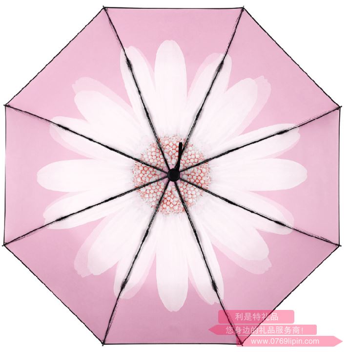 天堂傘 33693E芳華