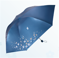 天堂傘 307E雪月風(fēng)花