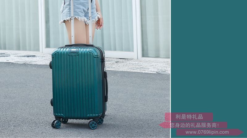 樂道 旅行箱