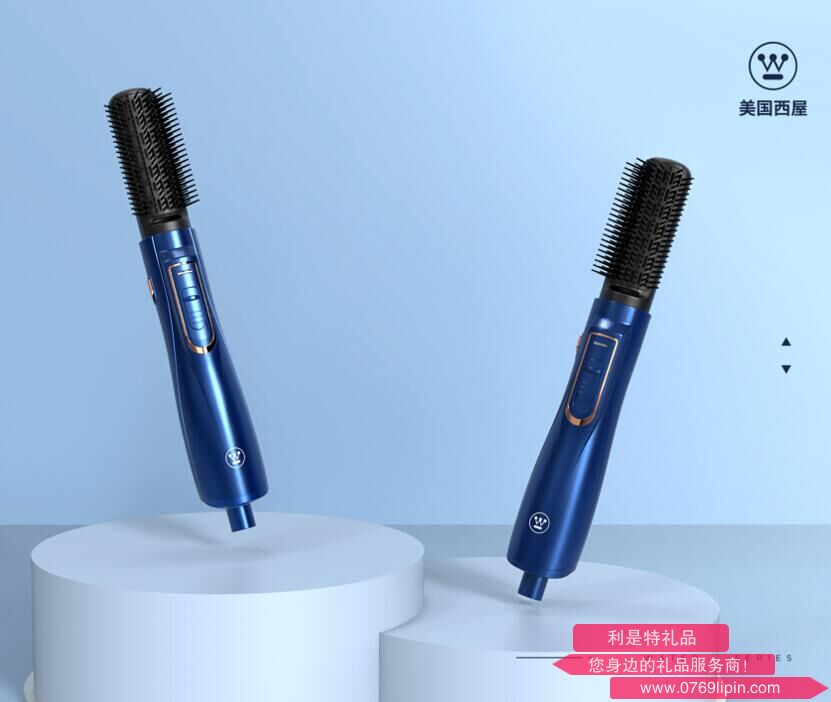多功能熱風(fēng)梳 / WL-FS1006