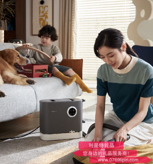 布 藝 清 潔 機 DL-6906