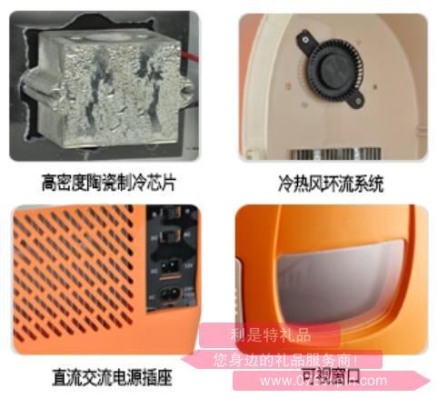 甲殼蟲(chóng)·車載冰箱2.jpg