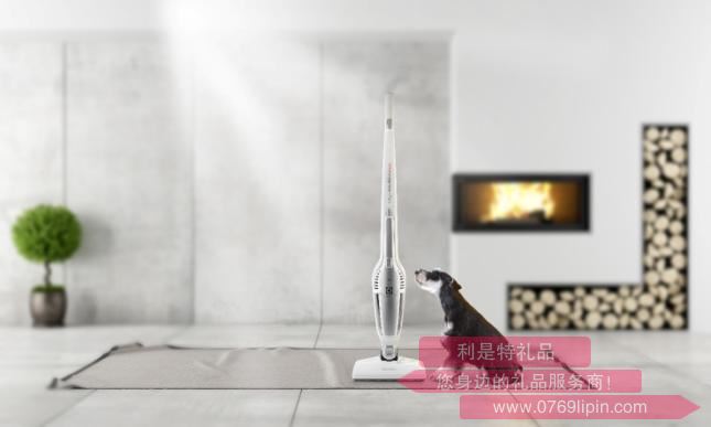 ZB3150無(wú)線直立式吸塵器.jpg