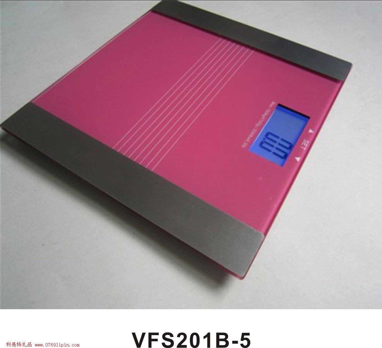 多功能VFS201系列電子秤