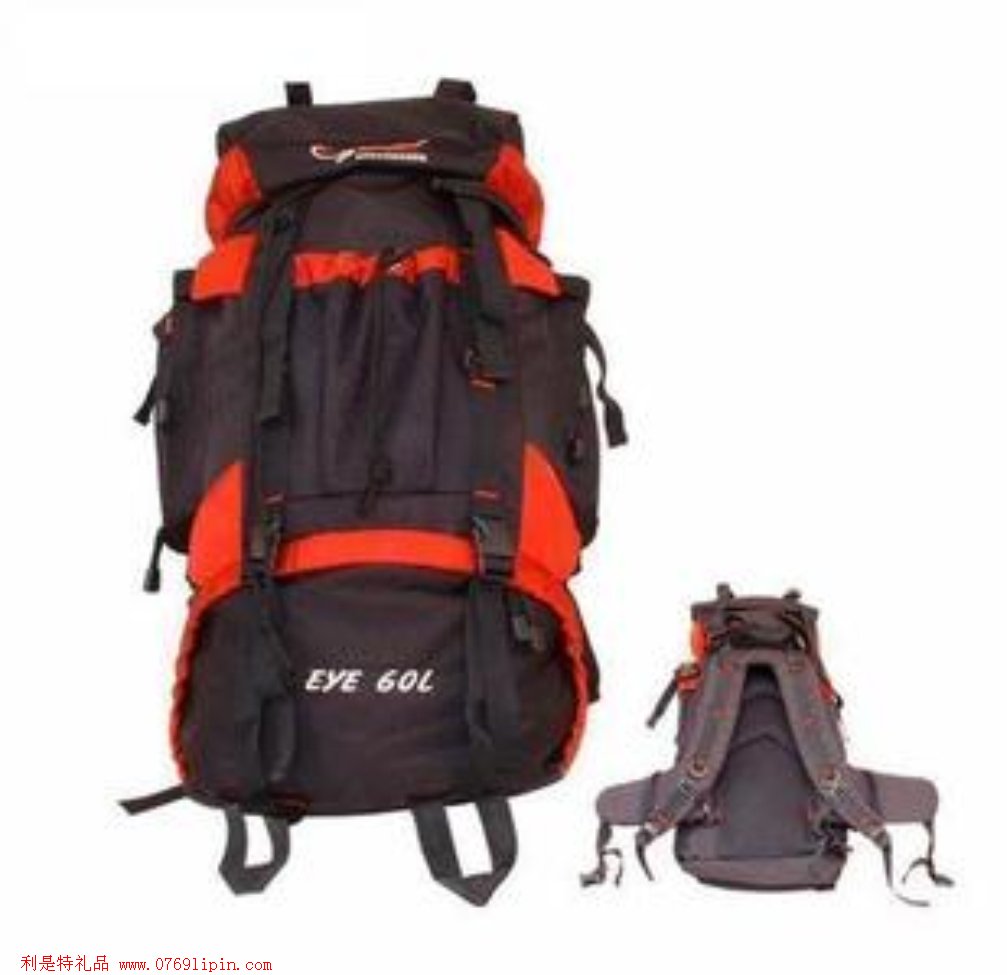 SM-D113    EYE60L登山包